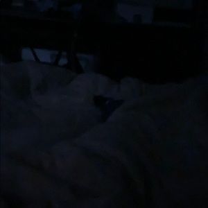 Meet your Posher, Adam